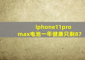 iphone11pro max电池一年健康只剩87