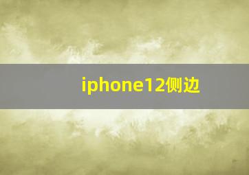 iphone12侧边