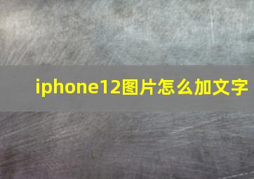 iphone12图片怎么加文字