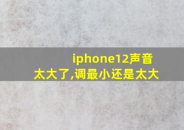 iphone12声音太大了,调最小还是太大