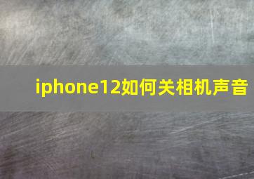 iphone12如何关相机声音