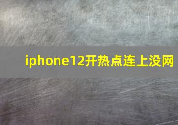 iphone12开热点连上没网