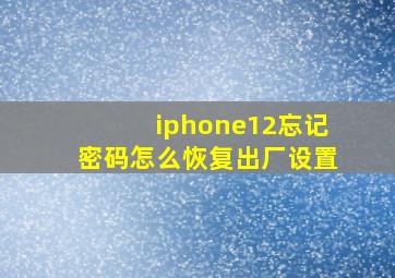 iphone12忘记密码怎么恢复出厂设置