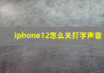 iphone12怎么关打字声音