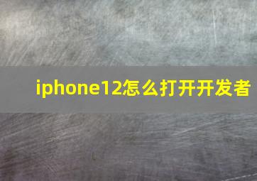 iphone12怎么打开开发者