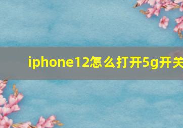 iphone12怎么打开5g开关