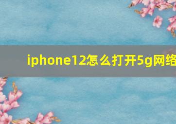 iphone12怎么打开5g网络