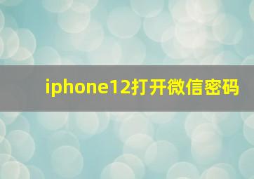 iphone12打开微信密码