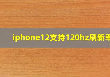 iphone12支持120hz刷新率吗