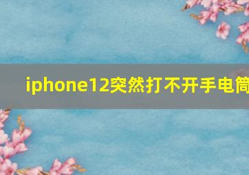 iphone12突然打不开手电筒