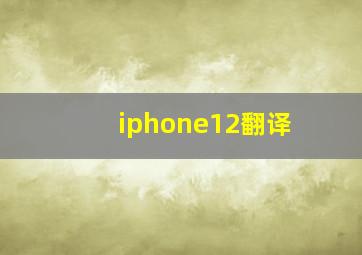 iphone12翻译