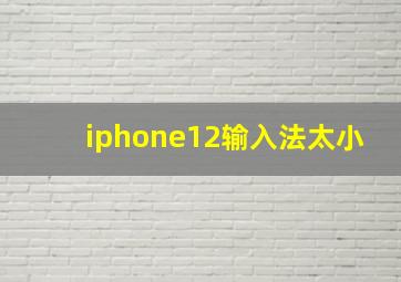 iphone12输入法太小