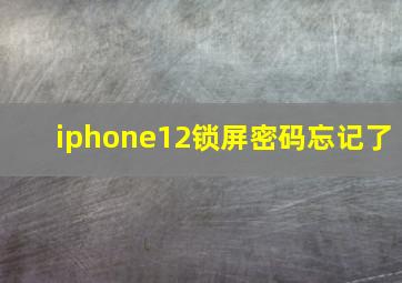 iphone12锁屏密码忘记了