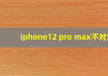 iphone12 pro max不对焦