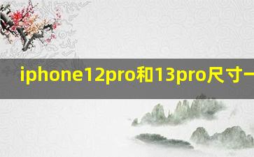 iphone12pro和13pro尺寸一样吗