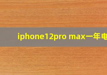 iphone12pro max一年电池