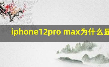 iphone12pro max为什么显示4g