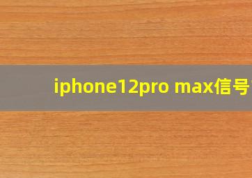 iphone12pro max信号1x