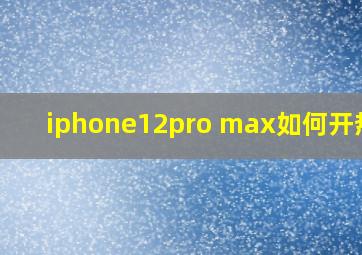 iphone12pro max如何开热点