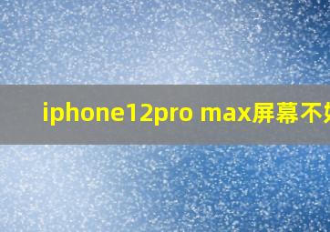 iphone12pro max屏幕不好使