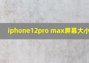 iphone12pro max屏幕大小对比