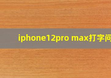 iphone12pro max打字问题