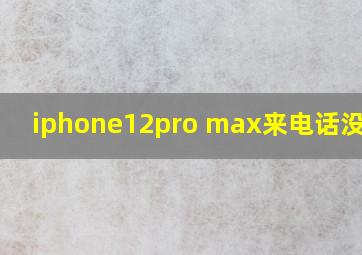 iphone12pro max来电话没声音