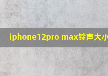 iphone12pro max铃声大小调节