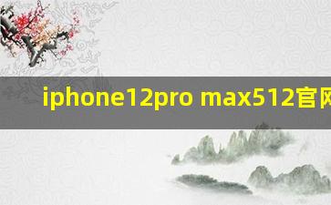 iphone12pro max512官网价格