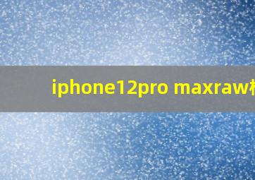 iphone12pro maxraw格式