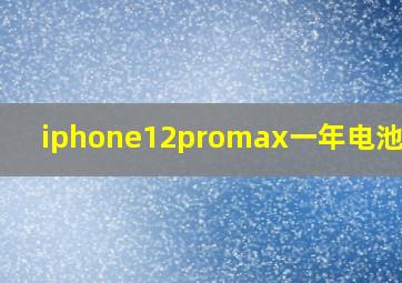 iphone12promax一年电池健康