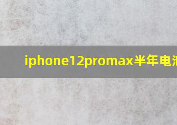 iphone12promax半年电池96%