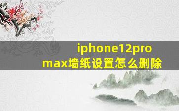 iphone12promax墙纸设置怎么删除