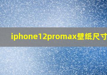 iphone12promax壁纸尺寸多大