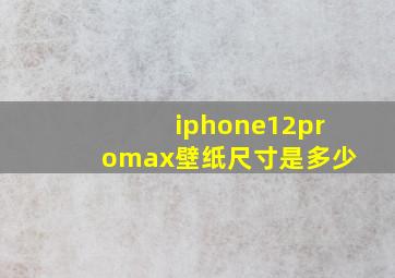 iphone12promax壁纸尺寸是多少