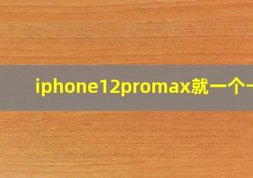 iphone12promax就一个卡槽