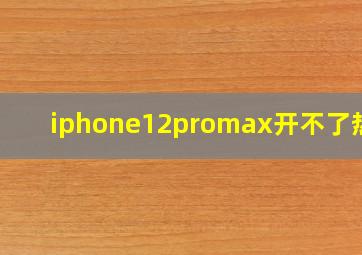 iphone12promax开不了热点