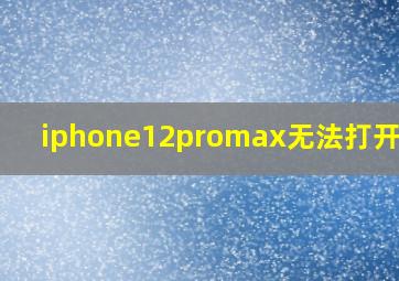 iphone12promax无法打开热点