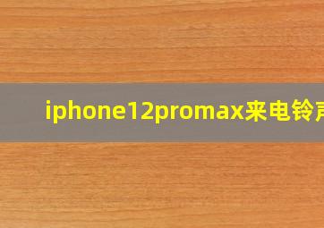 iphone12promax来电铃声小