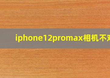 iphone12promax相机不对焦