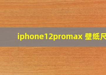 iphone12promax 壁纸尺寸