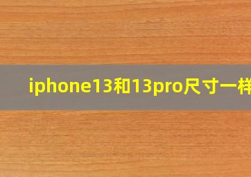 iphone13和13pro尺寸一样吗