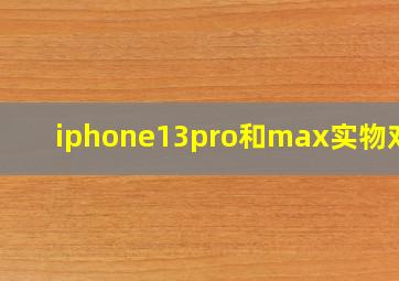 iphone13pro和max实物对比