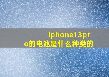 iphone13pro的电池是什么种类的