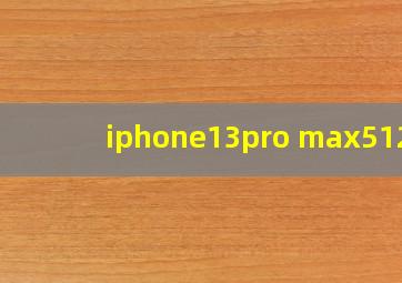 iphone13pro max512g