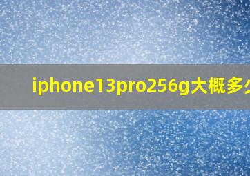 iphone13pro256g大概多少钱