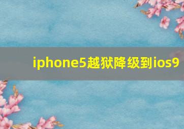 iphone5越狱降级到ios9