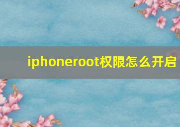 iphoneroot权限怎么开启