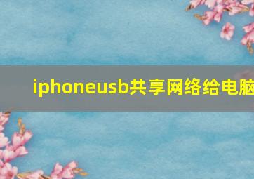 iphoneusb共享网络给电脑