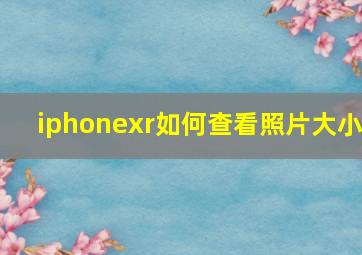 iphonexr如何查看照片大小